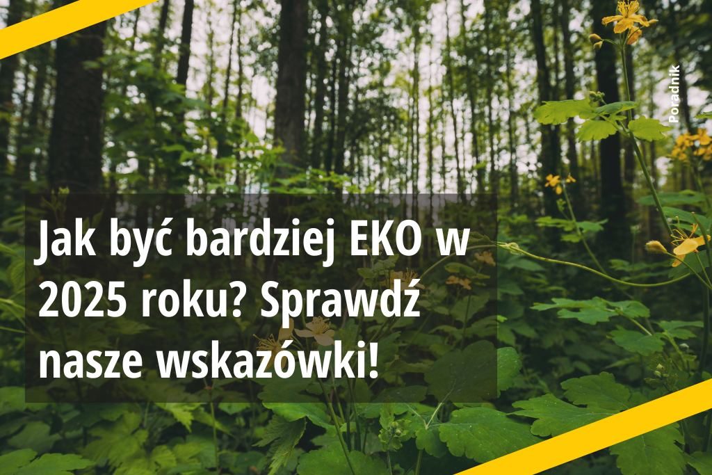 Jak być bardziej EKO w 2025 roku?